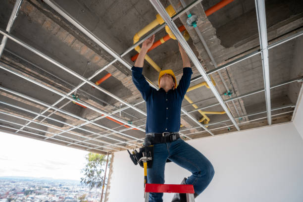 Best Plumbing Inspection Services  in Schnecksville, PA