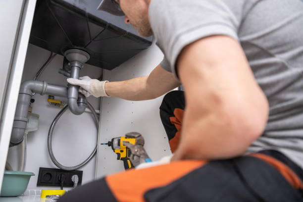Best Plumbing Services Near Me  in Schnecksville, PA